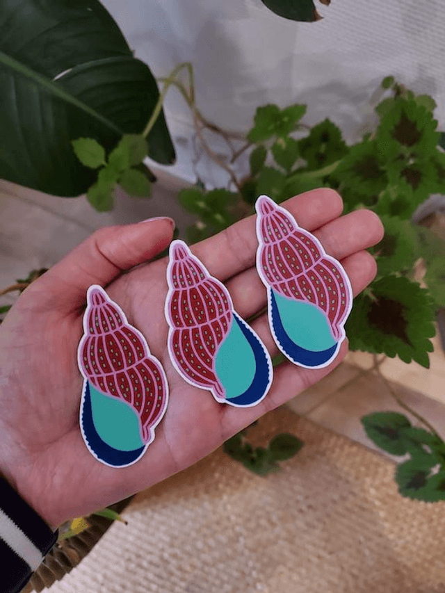 Coquillage - Sticker