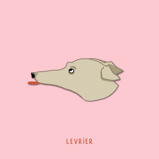 Team chien - Sticker